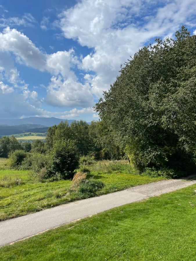 Chata Adam U Lipna Horní Planá Exteriör bild