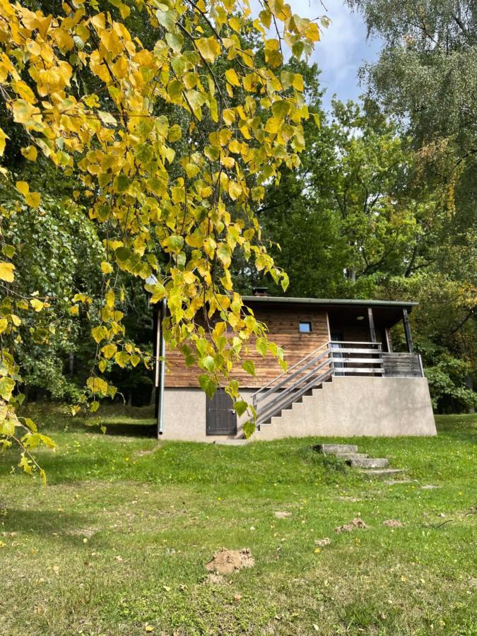 Chata Adam U Lipna Horní Planá Exteriör bild