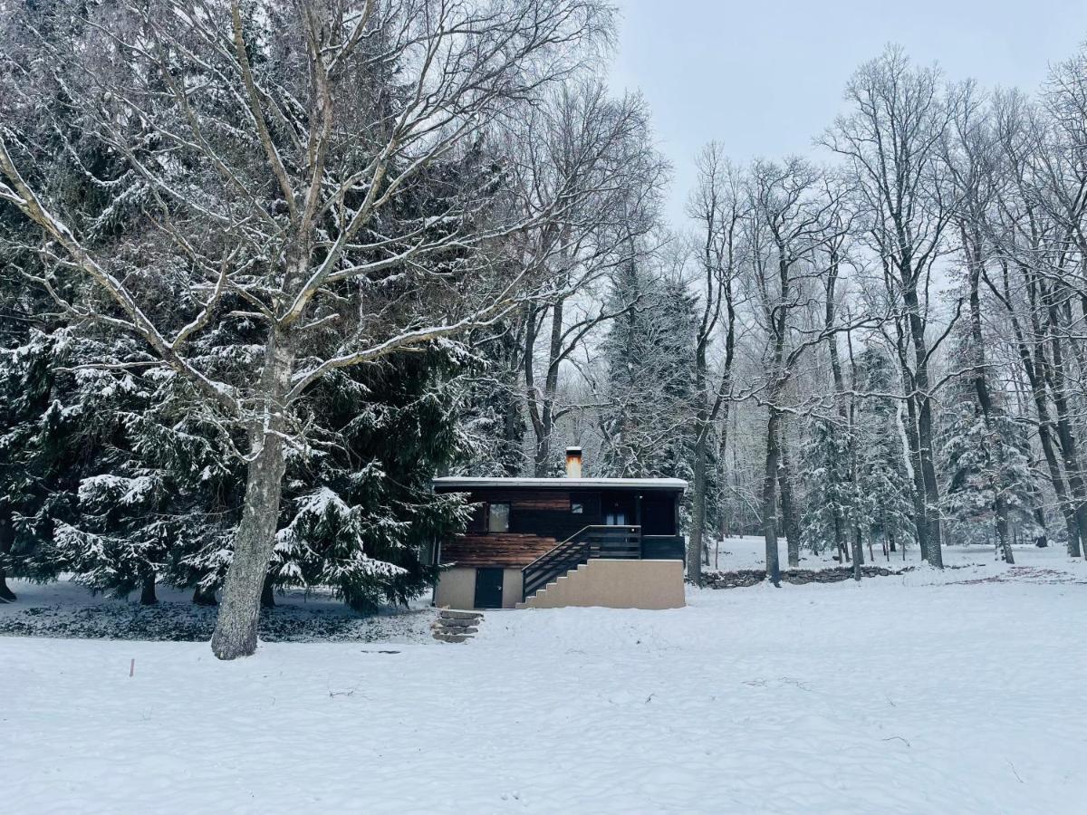 Chata Adam U Lipna Horní Planá Exteriör bild