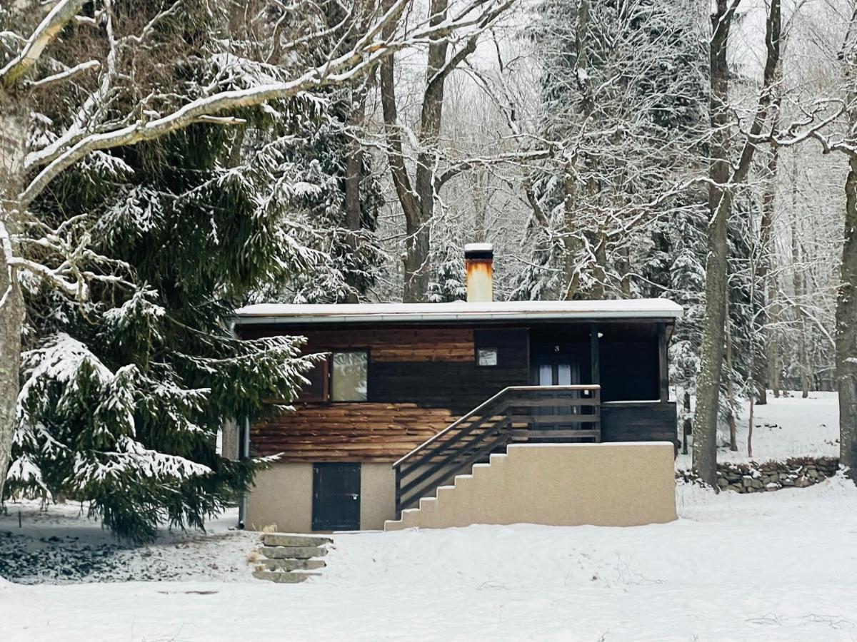 Chata Adam U Lipna Horní Planá Exteriör bild